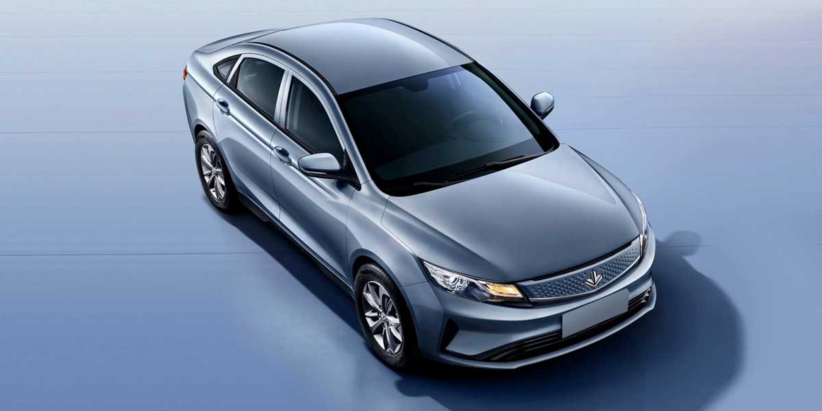 Livan MAPLE 60S Video Overview