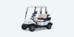 Tri Electric TE A2 2 Seater Golf Cart Review