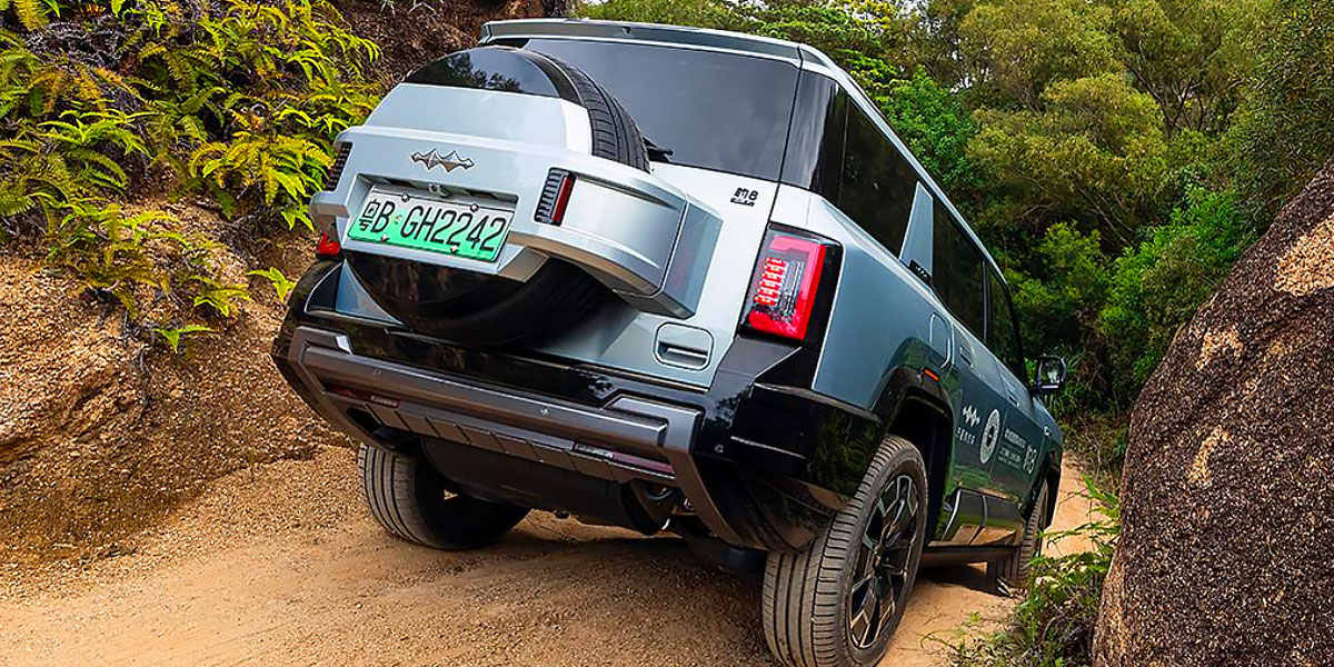 Denza B8 2025 Video Overview