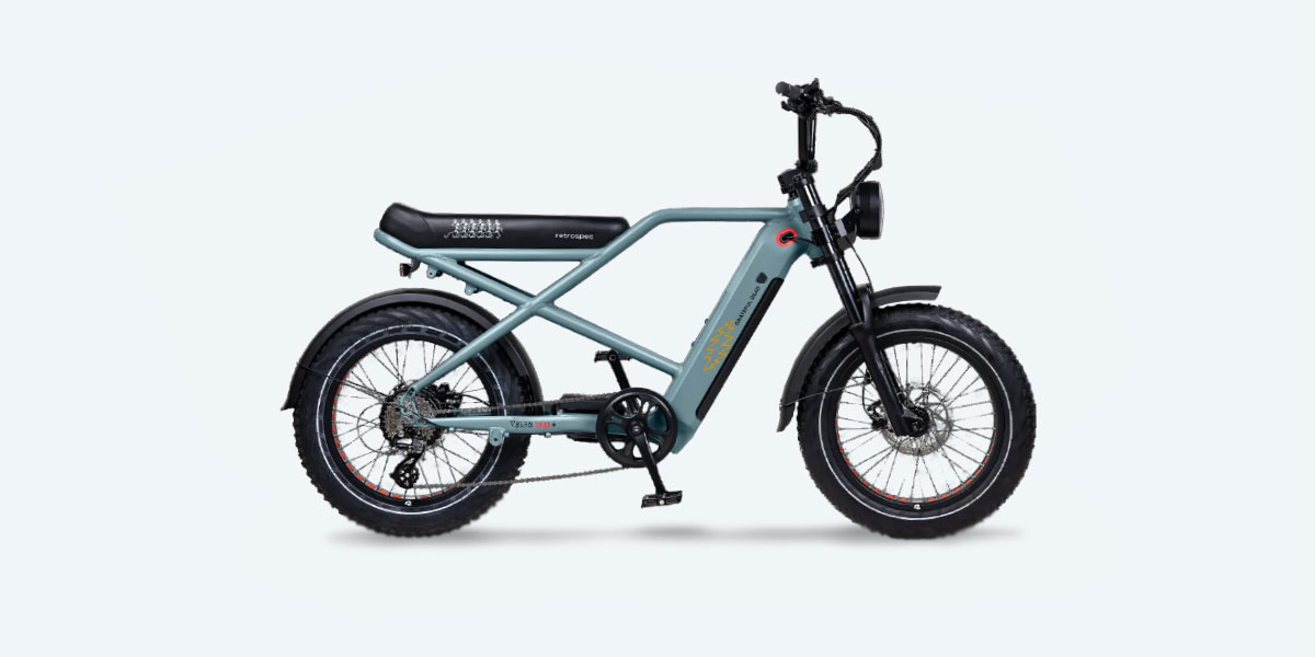 Retrospec Grateful Dead Valen Rev+ Fat Tire price