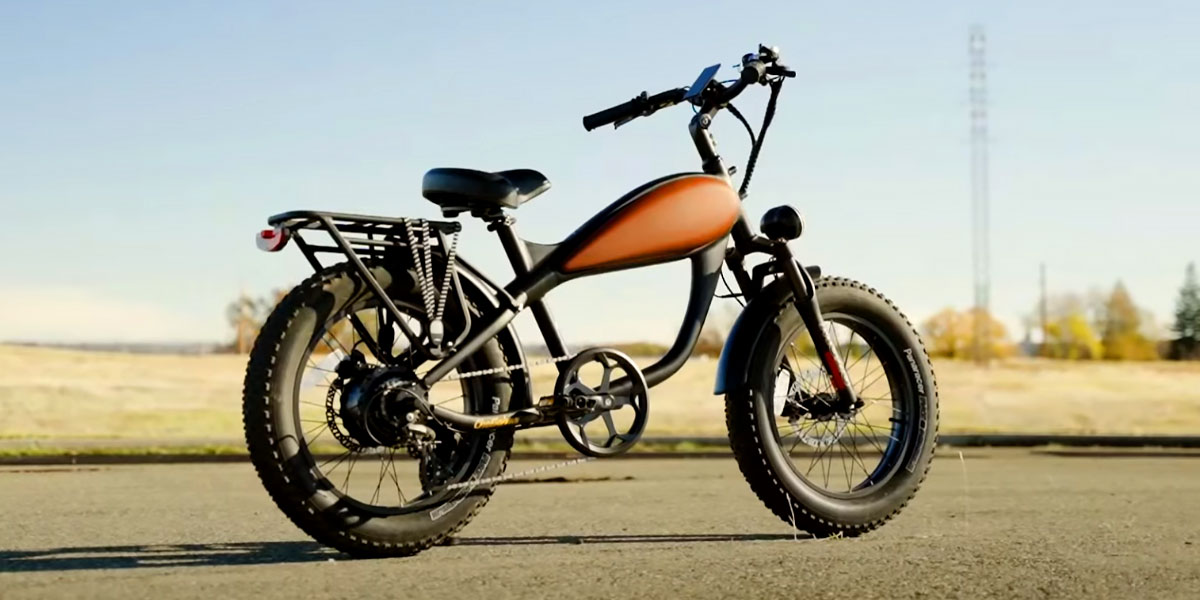 Revi Bikes Cheetah Mini Video Overview