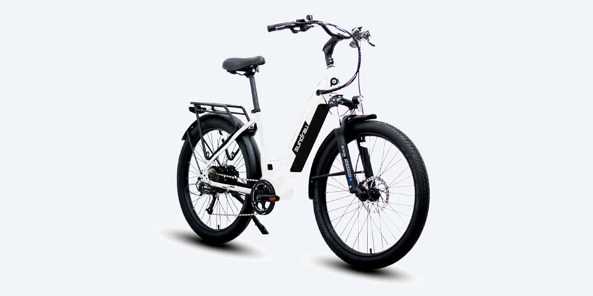 Eunorau META275 STEP THRU Video Overview