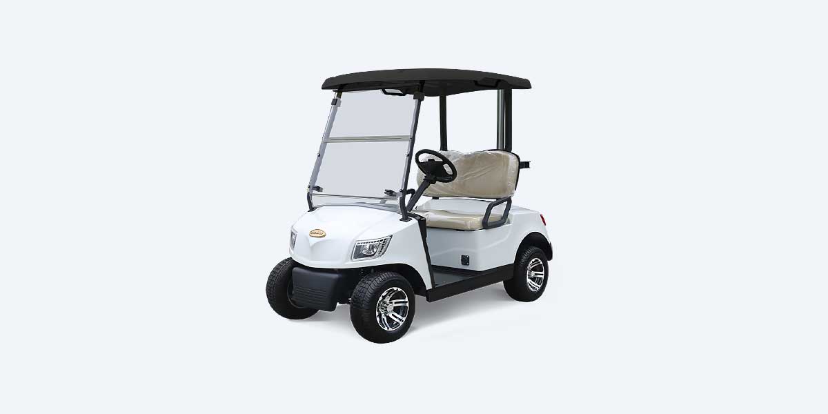 Marshell 2 Seater Golf Cart DG M2 price
