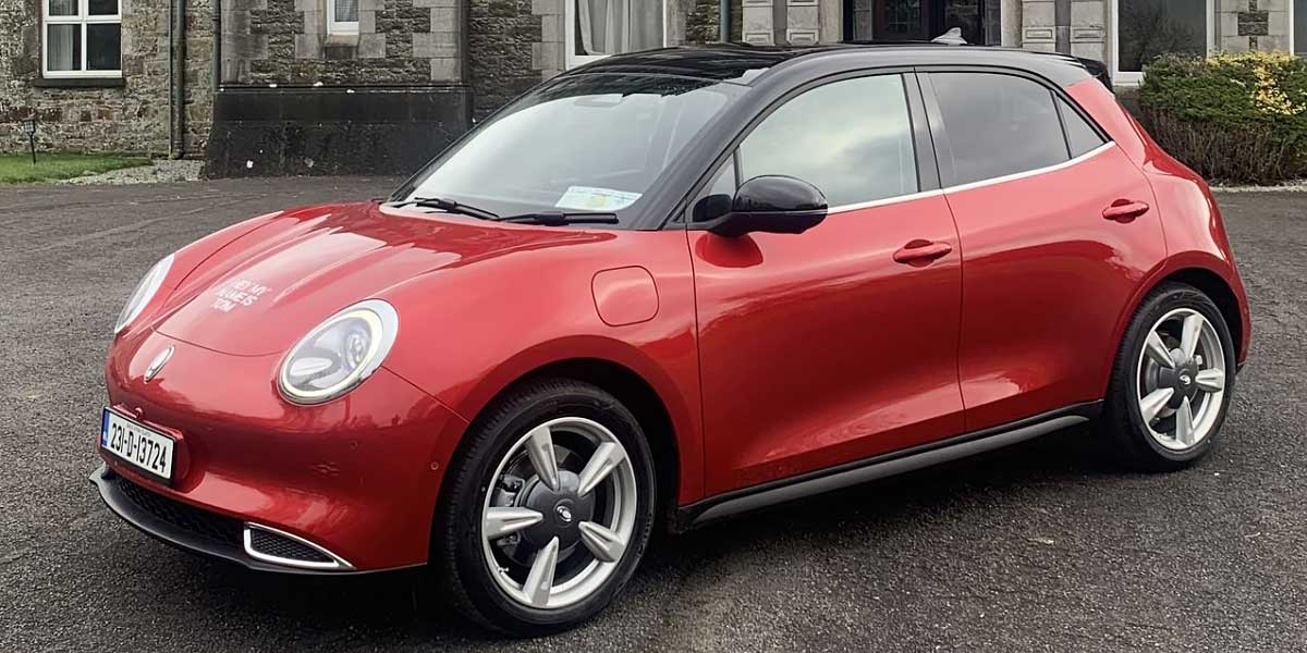 ORA Funky Cat Video Overview